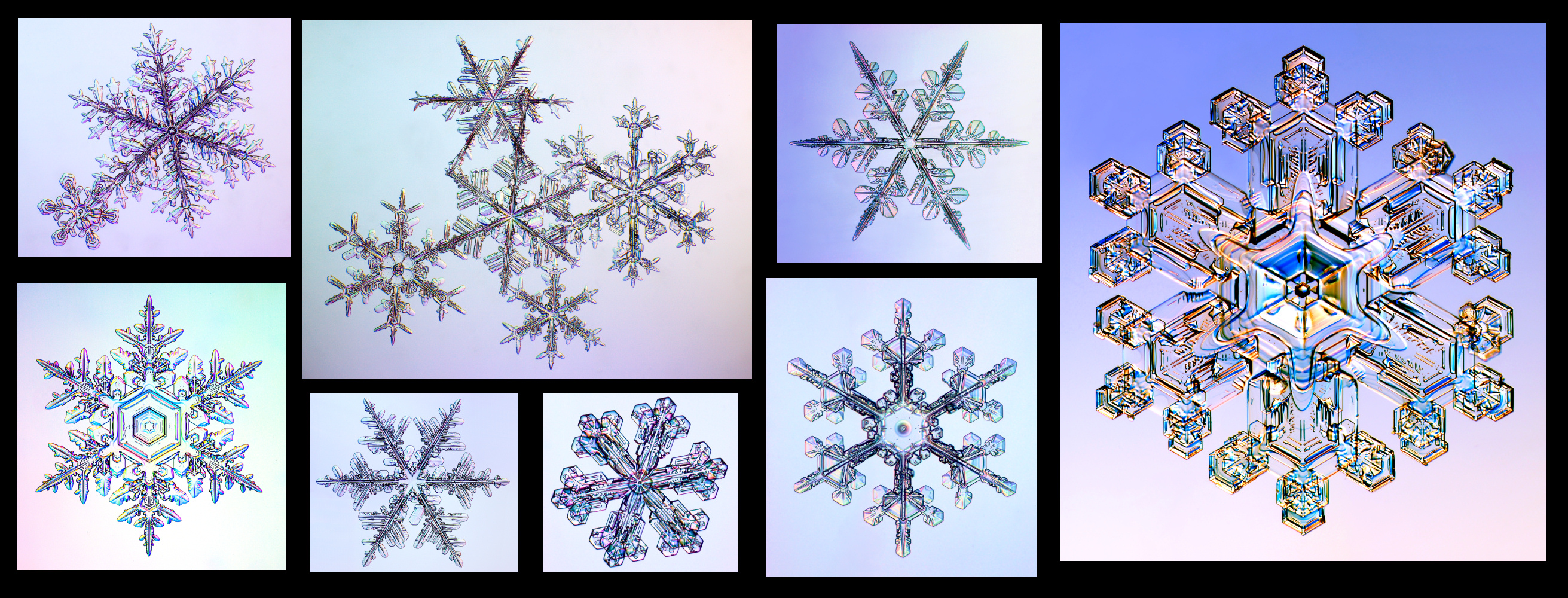 Why snowflakes come in beautiful, different shapes