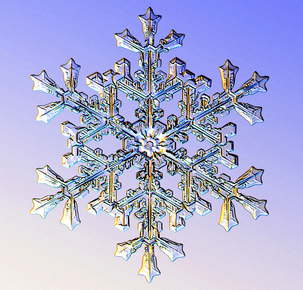 How snowflakes grow